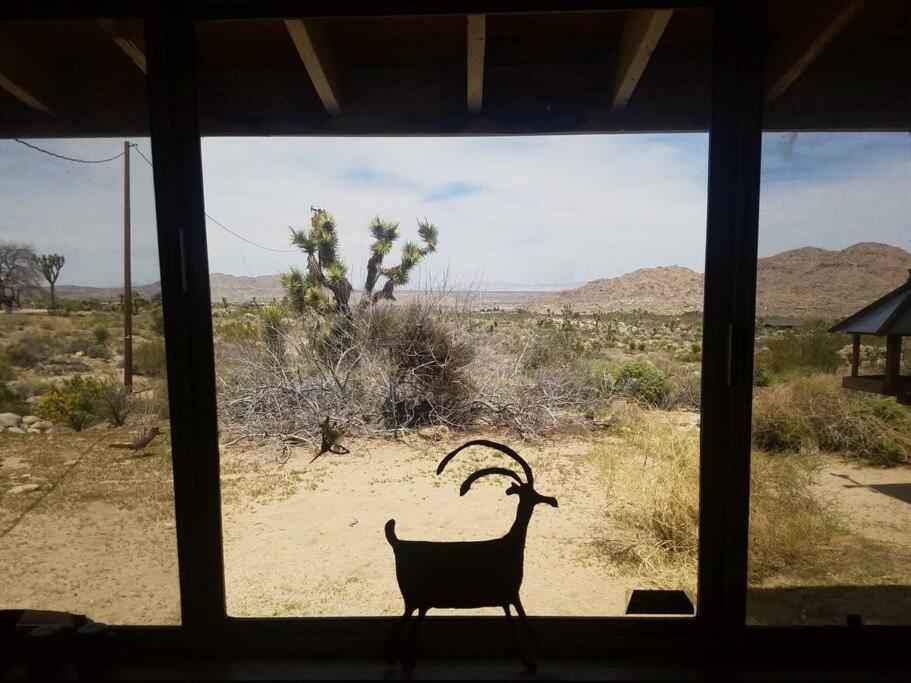 Steph'S Panorama Paradise-Nat'L Park Minutes Away Joshua Tree Exterior photo
